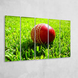 Cricket Ball in the Grass, Stadium Canvas, Sport Art, Gift for him, Multi Panels B, Canvas Prints Wall Art Decor