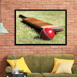 Cricket Bat and Ball, Stadium Canvas, Sport Art, Gift for him, Framed Art Prints Wall Art Decor, Framed Picture