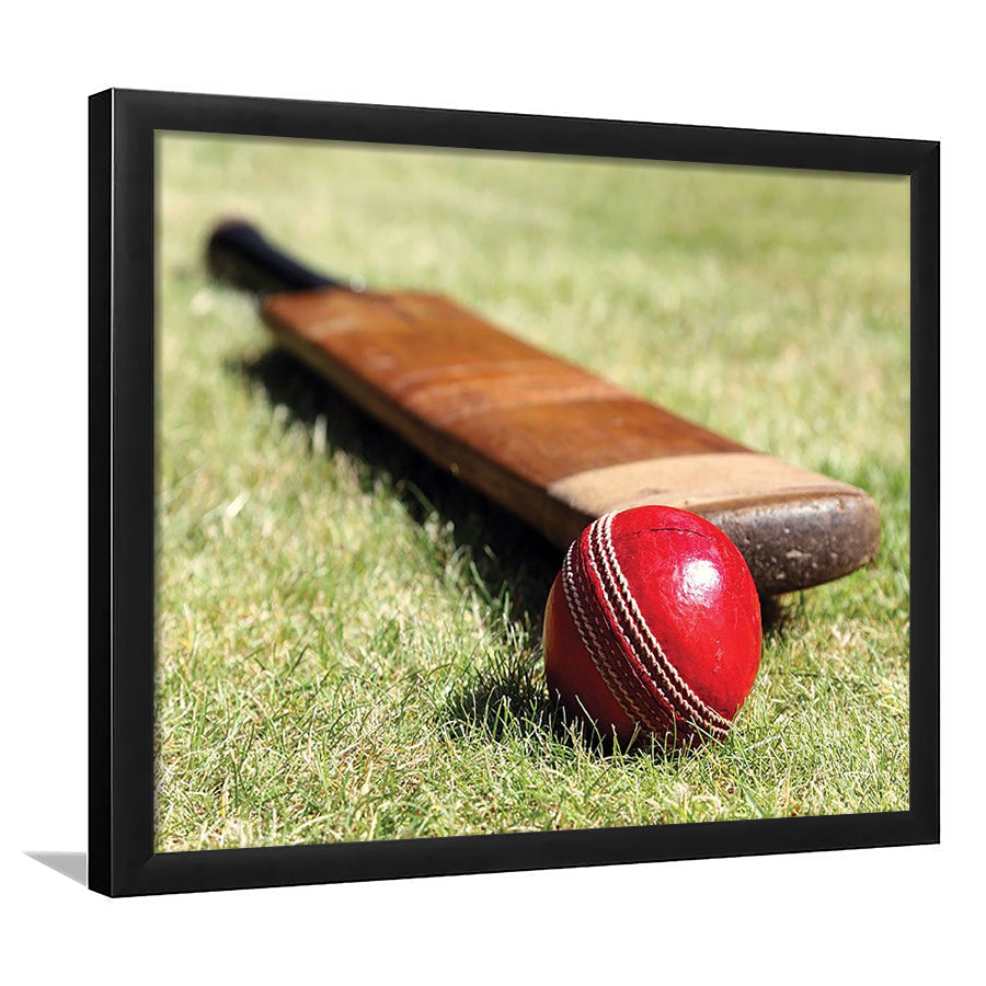 Cricket Bat and Ball, Stadium Canvas, Sport Art, Gift for him, Framed Art Prints Wall Art Decor, Framed Picture