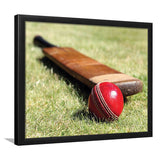 Cricket Bat and Ball, Stadium Canvas, Sport Art, Gift for him, Framed Art Prints Wall Art Decor, Framed Picture