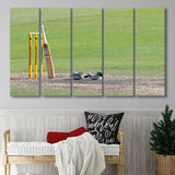 Cricket Day, Stadium Canvas, Sport Art, Gift for him, Multi Panels B, Canvas Prints Wall Art Decor