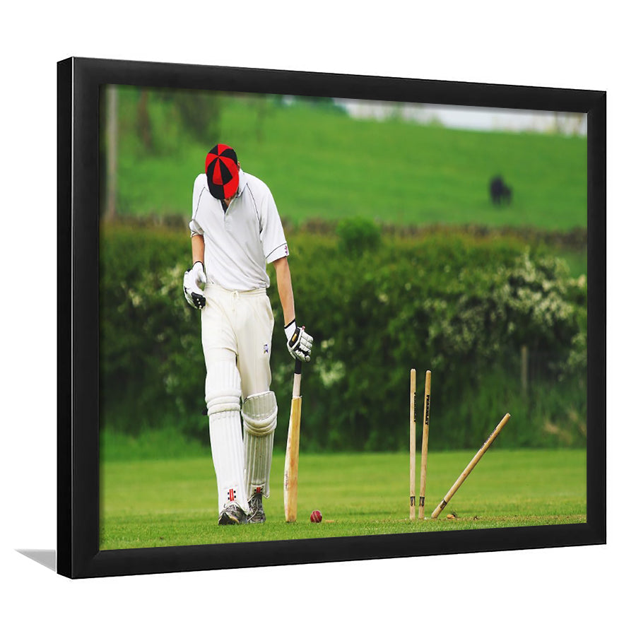 Cricket Sports, Stadium Canvas, Sport Art, Gift for him, Framed Art Prints Wall Art Decor, Framed Picture