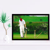 Cricket Sports, Stadium Canvas, Sport Art, Gift for him, Framed Art Prints Wall Art Decor, Framed Picture