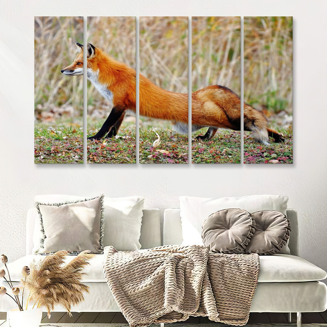 Cute Red Fox 5 Pieces B Canvas Prints Wall Art - Painting Canvas, Multi Panels,5 Panel, Wall Decor