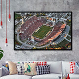 Cyclones Stadium, Stadium Canvas, Sport Art, Gift for him, Framed Art Prints Wall Art Decor, Framed Picture