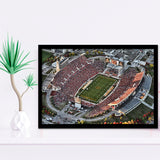Cyclones Stadium, Stadium Canvas, Sport Art, Gift for him, Framed Art Prints Wall Art Decor, Framed Picture