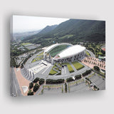 Daegu Stadium Aerial View, Stadium Canvas, Sport Art, Gift for him, Fan Gift, Canvas Prints Wall Art Decor