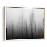 Dead Forest Canvas , Gothic Theme Framed Canvas Prints Wall Art, Floating Frame, Large Canvas Home Decor