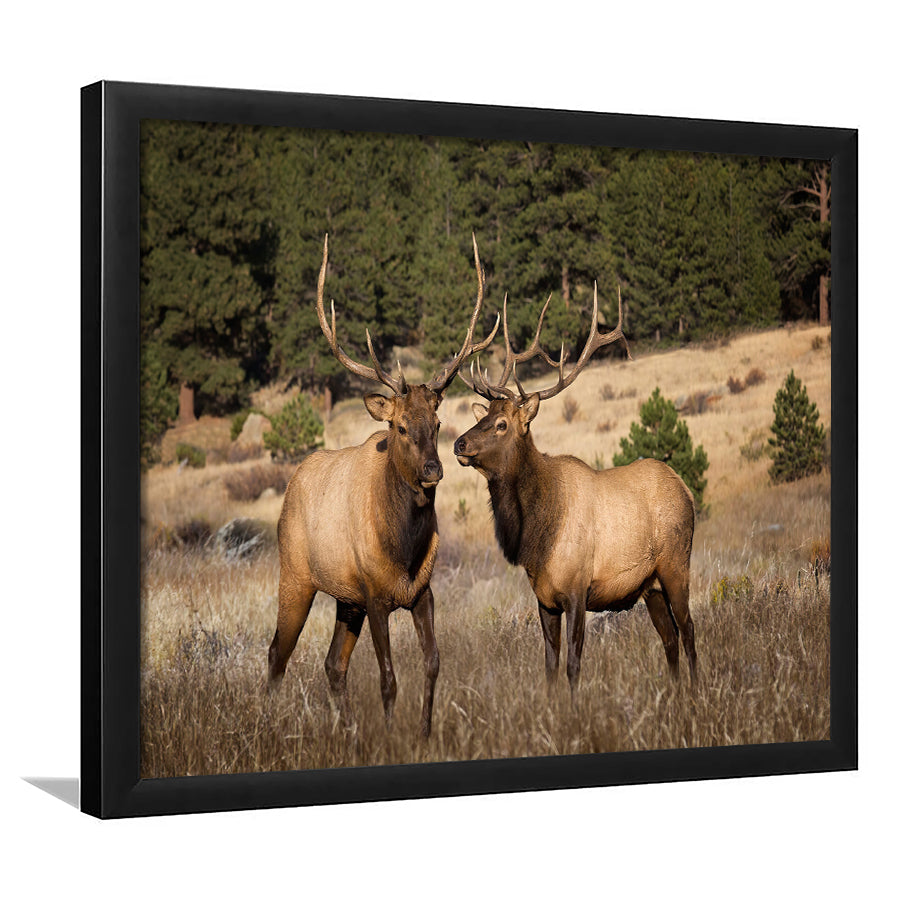 Deer Couple Canvas Wall Art Forest Animal Framed Art Prints Wall Decor - Painting Prints,Wall Art, Framed Picture,For Sale