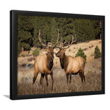 Deer Couple Canvas Wall Art Forest Animal Framed Art Prints Wall Decor - Painting Prints,Wall Art, Framed Picture,For Sale