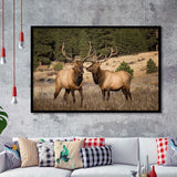 Deer Couple Canvas Wall Art Forest Animal Framed Art Prints Wall Decor - Painting Prints,Wall Art, Framed Picture,For Sale