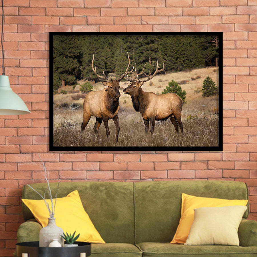 Deer Couple Canvas Wall Art Forest Animal Framed Art Prints Wall Decor - Painting Prints,Wall Art, Framed Picture,For Sale