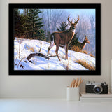 Deer And Snow Art Framed Art Prints Wall Decor - Painting Prints,Wall Art, Framed Picture,For Sale