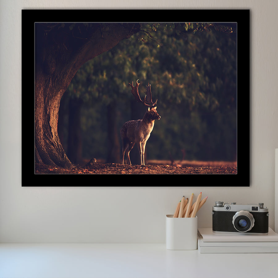 Deer In Forest Framed Art Prints Wall Decor - Painting Prints,Wall Art, Framed Picture,For Sale