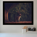 Deer In Forest Framed Art Prints Wall Decor - Painting Prints,Wall Art, Framed Picture,For Sale