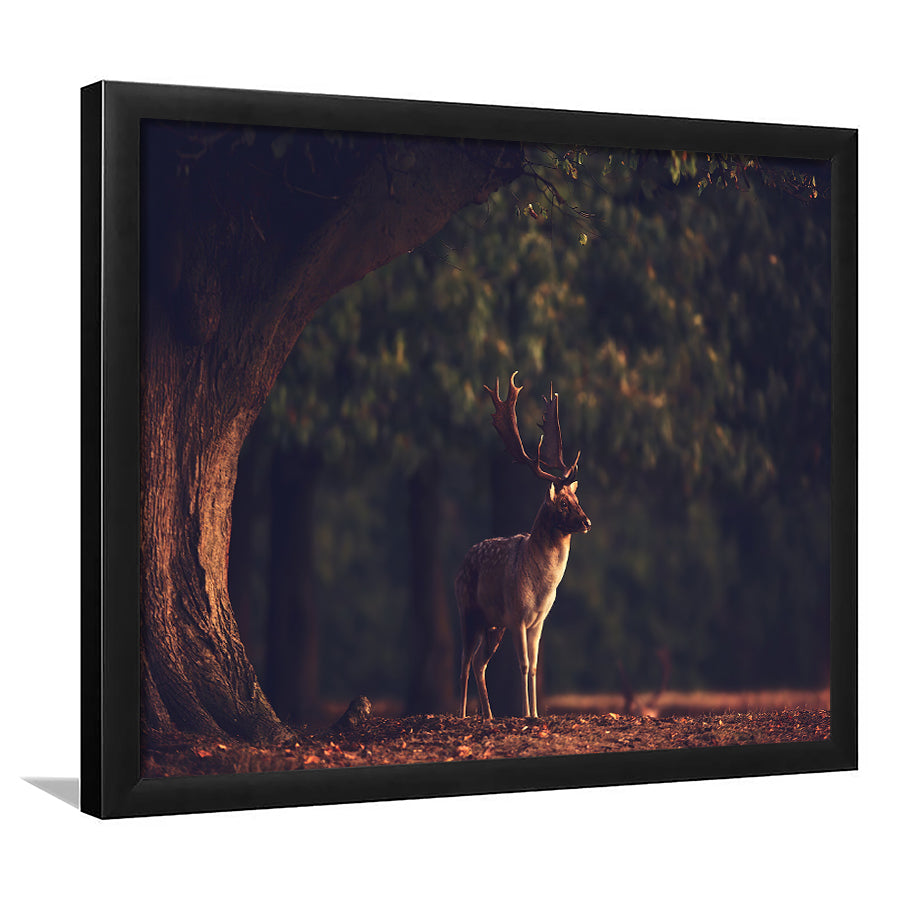 Deer In Forest Framed Art Prints Wall Decor - Painting Prints,Wall Art, Framed Picture,For Sale