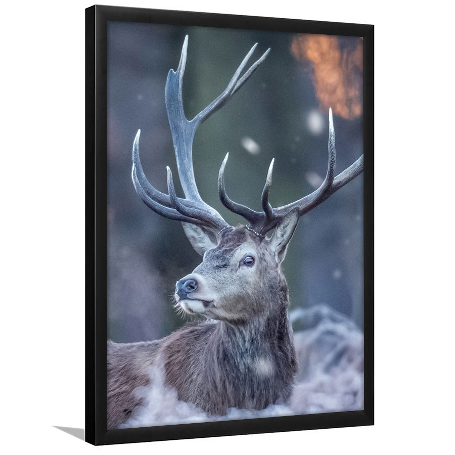 Deer In The Winter Framed Art Prints Wall Decor - Painting Prints, Wall Art, Framed Picture, For Sale