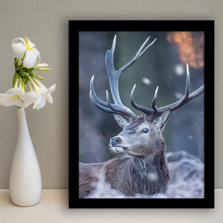 Deer In The Winter Framed Art Prints Wall Decor - Painting Prints, Wall Art, Framed Picture, For Sale