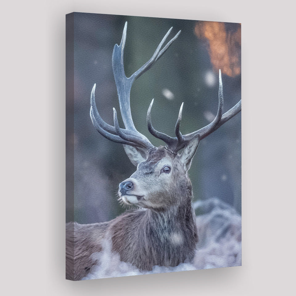 Deer In The Winter Canvas Prints Wall Art - Painting Canvas, Home Wall Decor, Painting Prints, For Sale