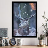 Deer In The Winter Framed Art Prints Wall Decor - Painting Prints, Wall Art, Framed Picture, For Sale