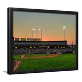 Dell Daimond Wall Art Round Rock Express Stadium Art Prints,Sport Stadium Art Prints, Fan Gift, Wall Decor