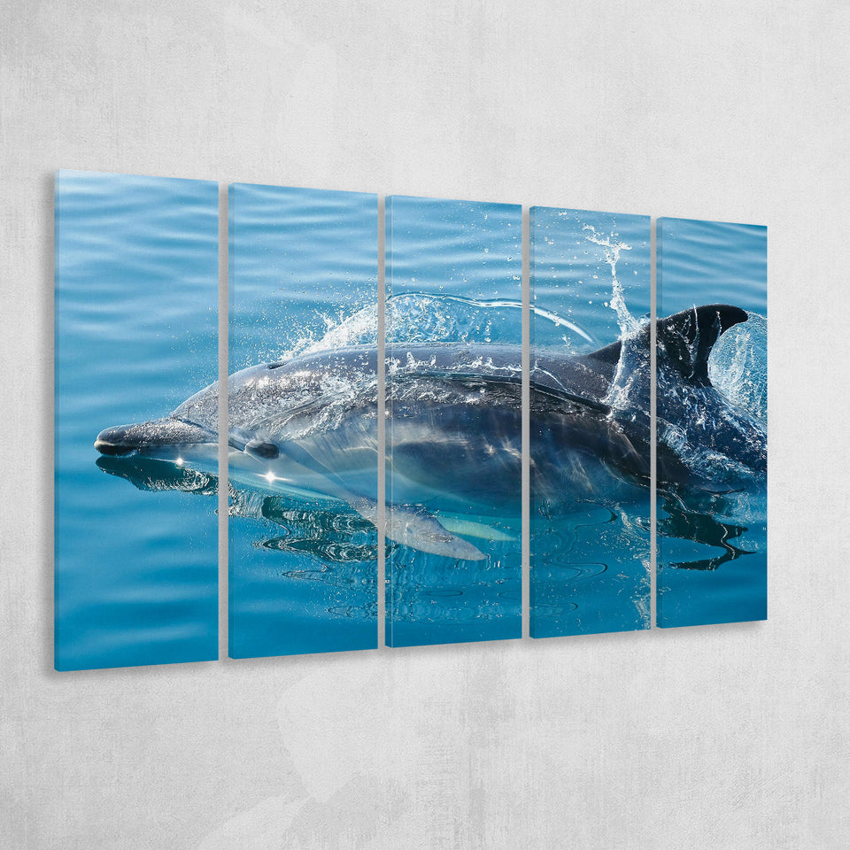 Dolphin, Dolphins 5 Panels B,Large Canvas,Canvas Prints Wall Art Home Decor