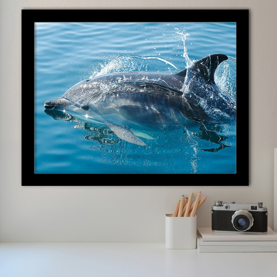 Dolphin, Dolphins Framed Art Prints Wall Art Decor,Black Frame, Ready to hang