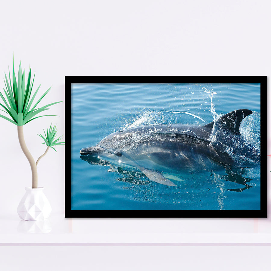 Dolphin, Dolphins Framed Art Prints Wall Art Decor,Black Frame, Ready to hang