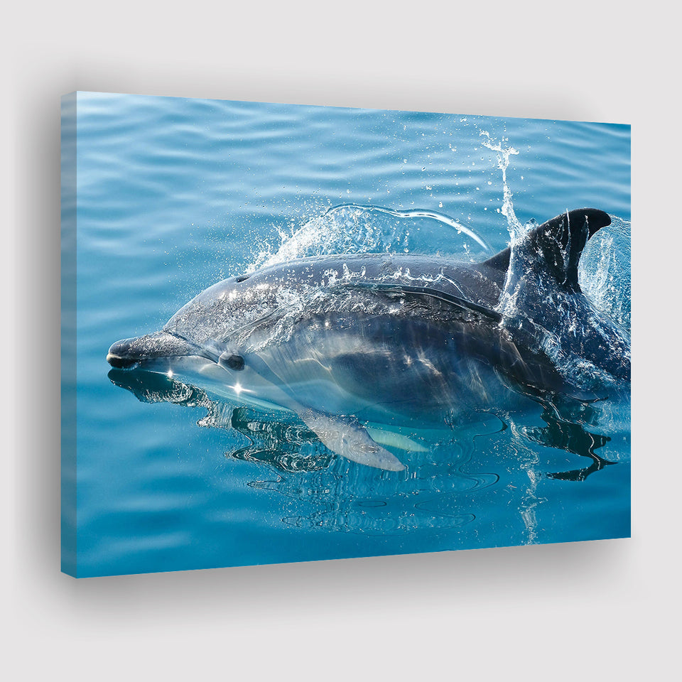 Dolphin, Dolphins Canvas Prints Wall Art Home Decor - Painting Canvas, Ready to hang