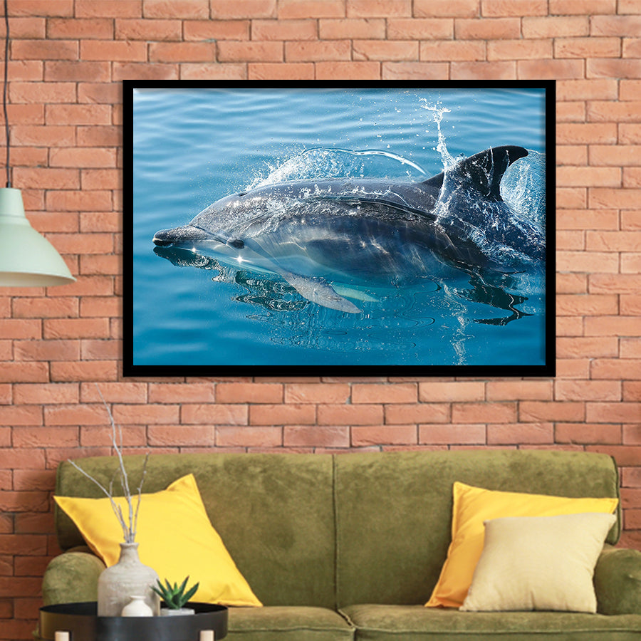 Dolphin, Dolphins Framed Art Prints Wall Art Decor,Black Frame, Ready to hang