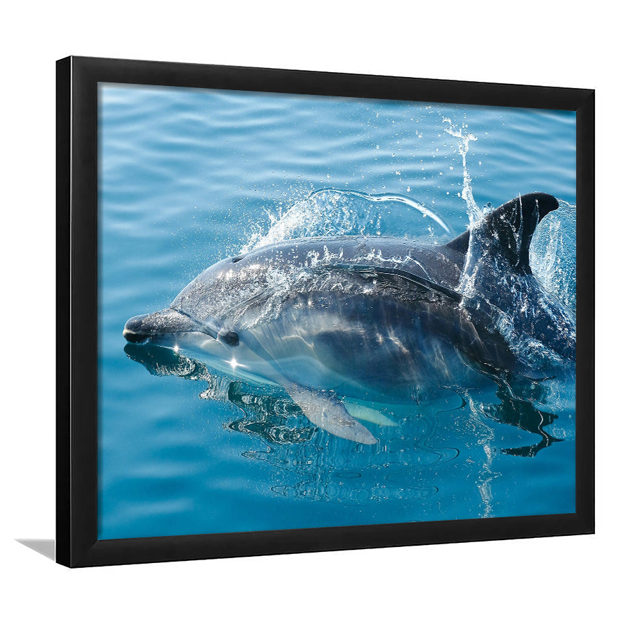 Dolphin, Dolphins Framed Art Prints Wall Art Decor,Black Frame, Ready to hang