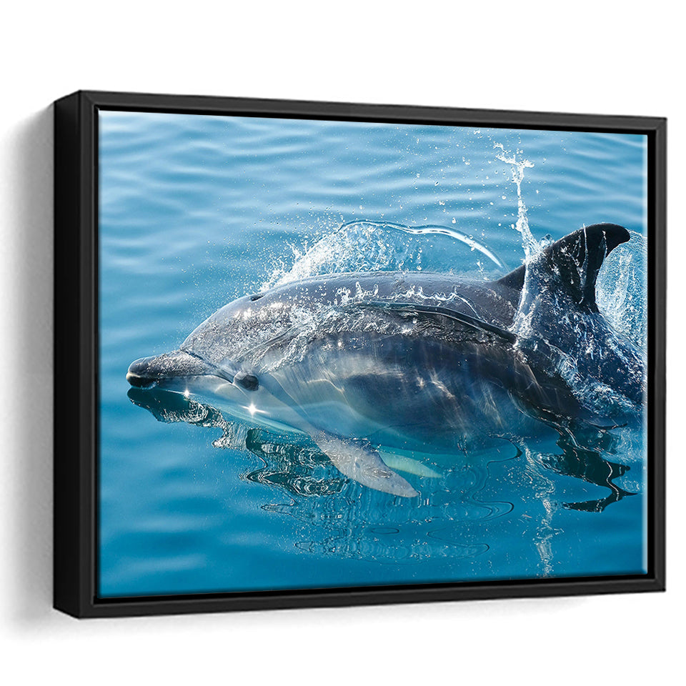 Dolphin, Dolphins Framed Canvas Prints Wall Art Decor, Black Floating Frame