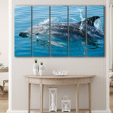 Dolphin, Dolphins 5 Panels B,Large Canvas,Canvas Prints Wall Art Home Decor