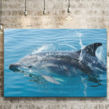 Dolphin, Dolphins Canvas Prints Wall Art Home Decor - Painting Canvas, Ready to hang