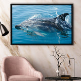 Dolphin, Dolphins Framed Canvas Prints Wall Art Decor, Black Floating Frame