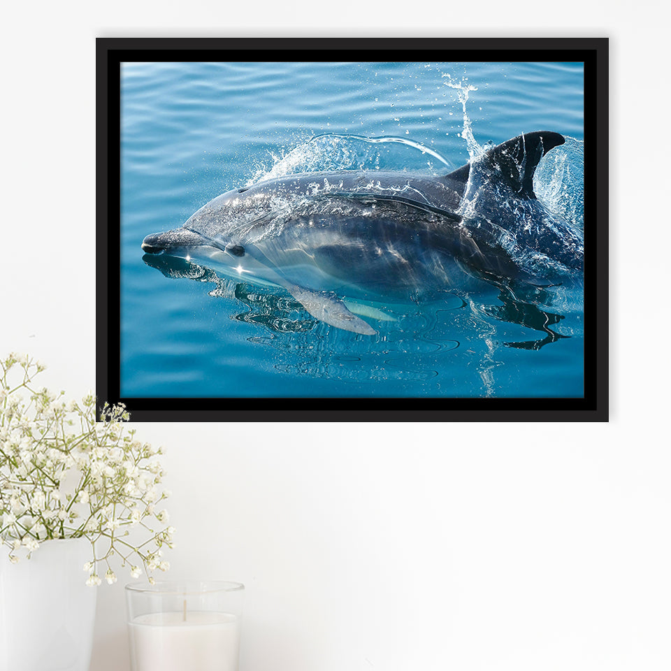 Dolphin, Dolphins Framed Canvas Prints Wall Art Decor, Black Floating Frame