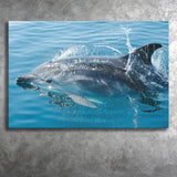 Dolphin, Dolphins Canvas Prints Wall Art Home Decor - Painting Canvas, Ready to hang