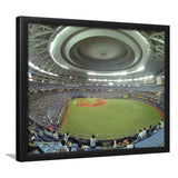 Dome Osaka Outfield, Stadium Canvas, Sport Art, Gift for him, Framed Art Prints Wall Art Decor, Framed Picture