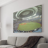 Dome Osaka Outfield, Stadium Canvas, Sport Art, Gift for him, Fan Gift, Canvas Prints Wall Art Decor