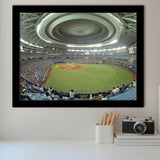 Dome Osaka Outfield, Stadium Canvas, Sport Art, Gift for him, Framed Art Prints Wall Art Decor, Framed Picture