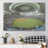 Dome Osaka Outfield, Stadium Canvas, Sport Art, Gift for him, Fan Gift, Canvas Prints Wall Art Decor