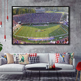 Dowdy Ficklen Stadium Framed Canvas Prints East Carolina Pirates Wall,Sport Stadium Art Prints, Fan Gift