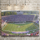 Dowdy Ficklen Stadium Canvas Prints East Carolina Pirates Wall,Sport Stadium Art Prints, Fan Gift, Wall Decor