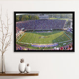 Dowdy Ficklen Stadium Framed Canvas Prints East Carolina Pirates Wall,Sport Stadium Art Prints, Fan Gift