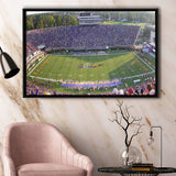 Dowdy Ficklen Stadium Framed Canvas Prints East Carolina Pirates Wall,Sport Stadium Art Prints, Fan Gift