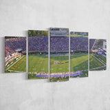 Dowdy Ficklen Stadium Canvas Prints East Carolina Pirates Wall,Multi Panels,Sport Stadium Art Prints, Fan Gift