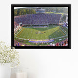 Dowdy Ficklen Stadium Framed Canvas Prints East Carolina Pirates Wall,Sport Stadium Art Prints, Fan Gift