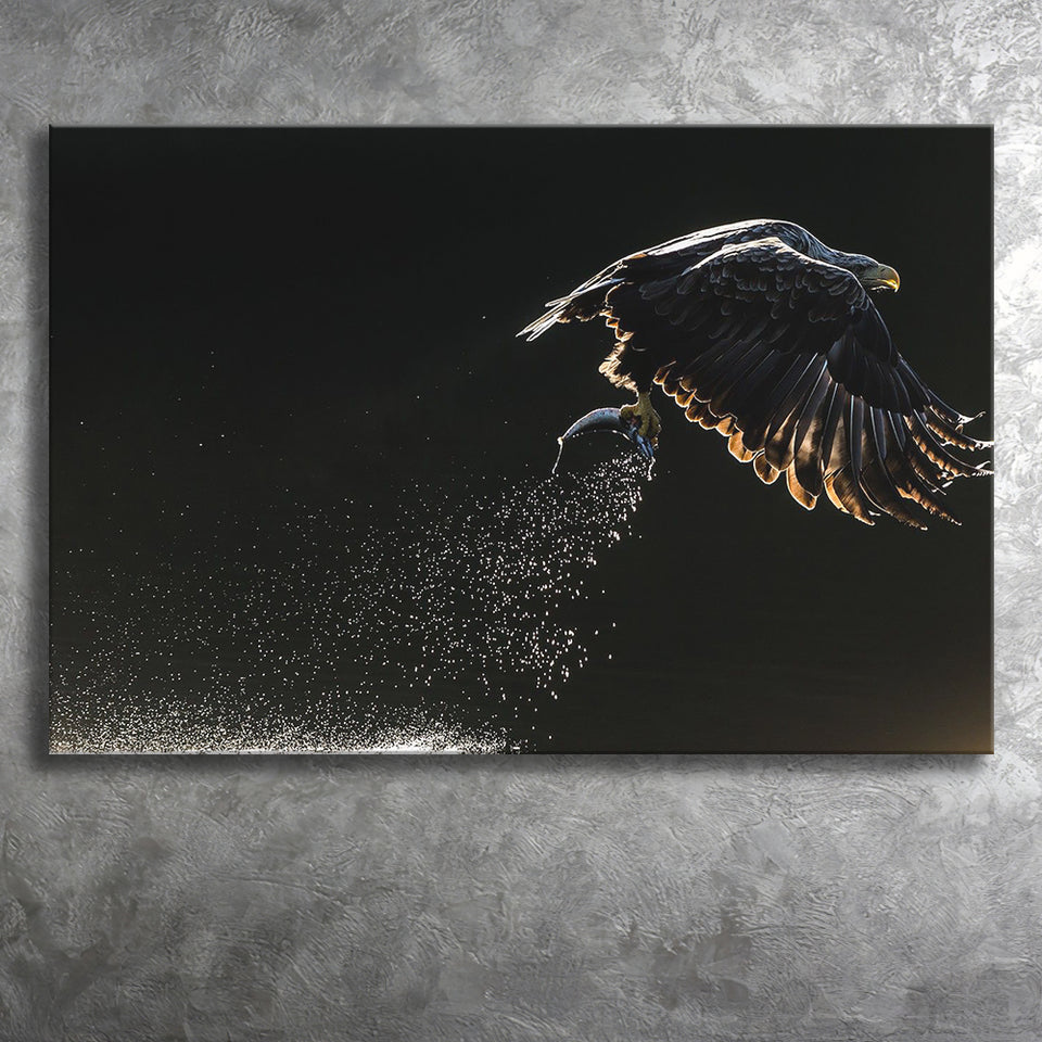 Eagles Hunting Fish, Canvas Prints Wall Art Home Decor