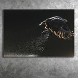 Eagles Hunting Fish, Canvas Prints Wall Art Home Decor