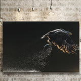 Eagles Hunting Fish, Canvas Prints Wall Art Home Decor